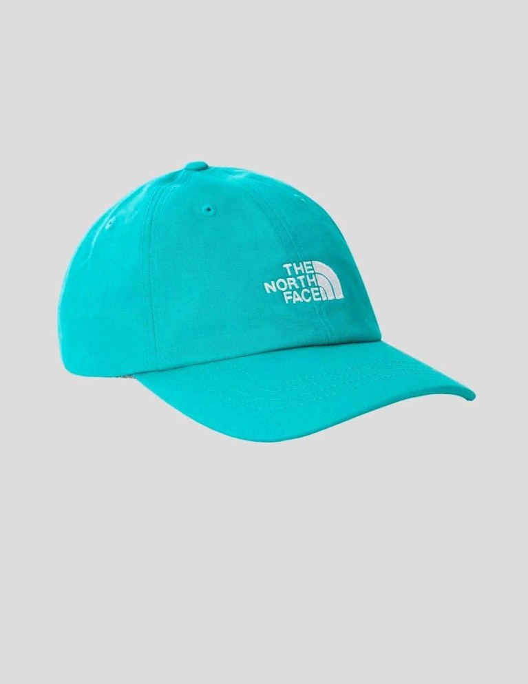 NORTH FACE norm cappello porcellana verde